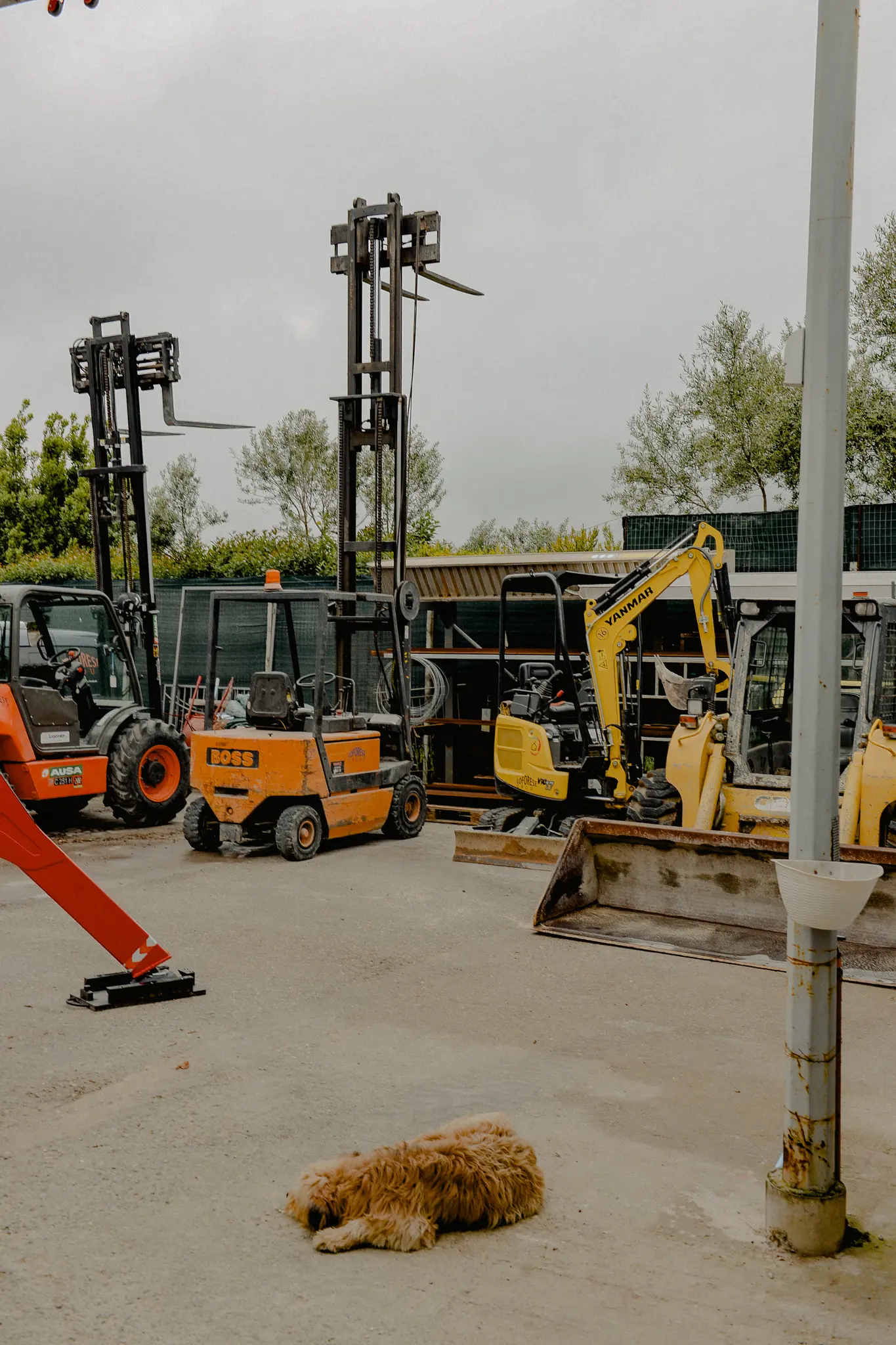 Impresa edile LoForese Group in cantiere